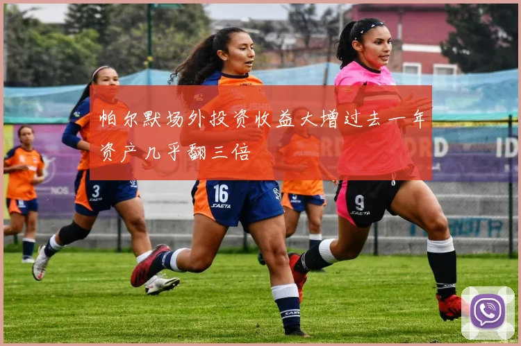 帕尔默场外投资收益大增过去一年资产几乎翻三倍