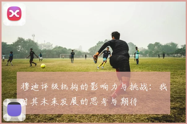 穆迪评级机构的影响力与挑战：我对其未来发展的思考与期待