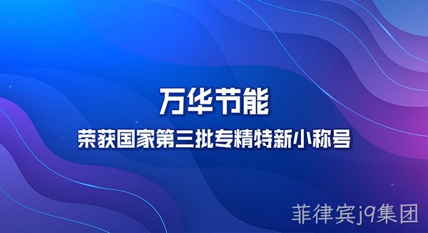 菲律宾j9集团荣获国家第三批专精特新小巨人称号